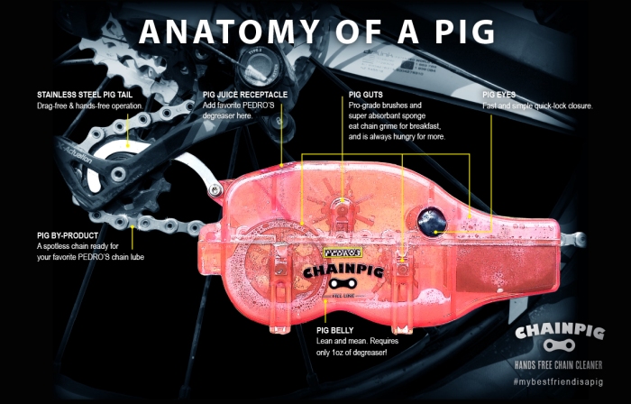 Pedros ChainPig anatomy