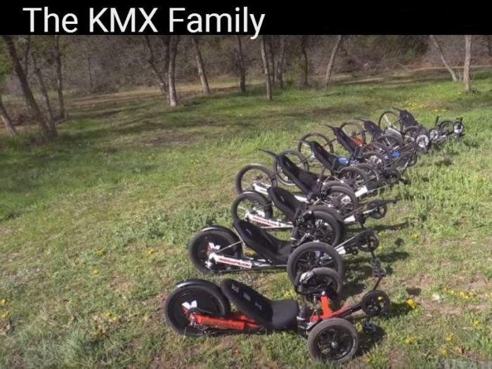 KMX family