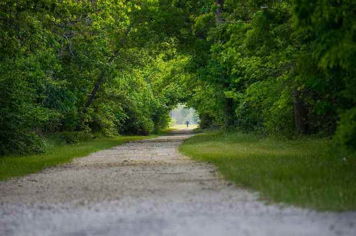 paved-trail-thru-green-trees