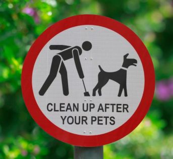 clean-up-after-your-dog